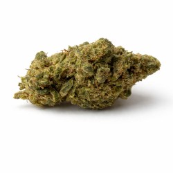 PLUTONIUM OG HYDRO CSA 13%