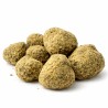 MOONROCK HYDRO CSA 25%