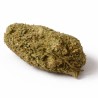 TROPICAL KUSH INDOOR CSA 11%