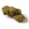 WHITE WIDOW HYDRO CSA 18%