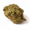 AMNESIA HAZE HYDRO CSA 11%