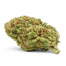 TOMAHAWK HYDRO CSA 12%