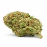 TOMAHAWK HYDRO CSA 12%