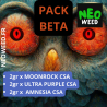 PACK BETA FLEURS 6gr