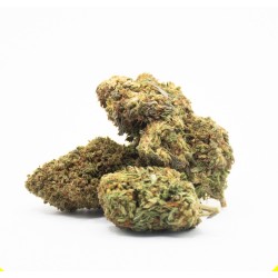 Fleurs CBD